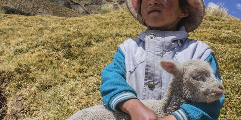 NBA篮球比赛精彩瞬间 - 球员扣篮